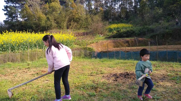 20200319昕奇锄草