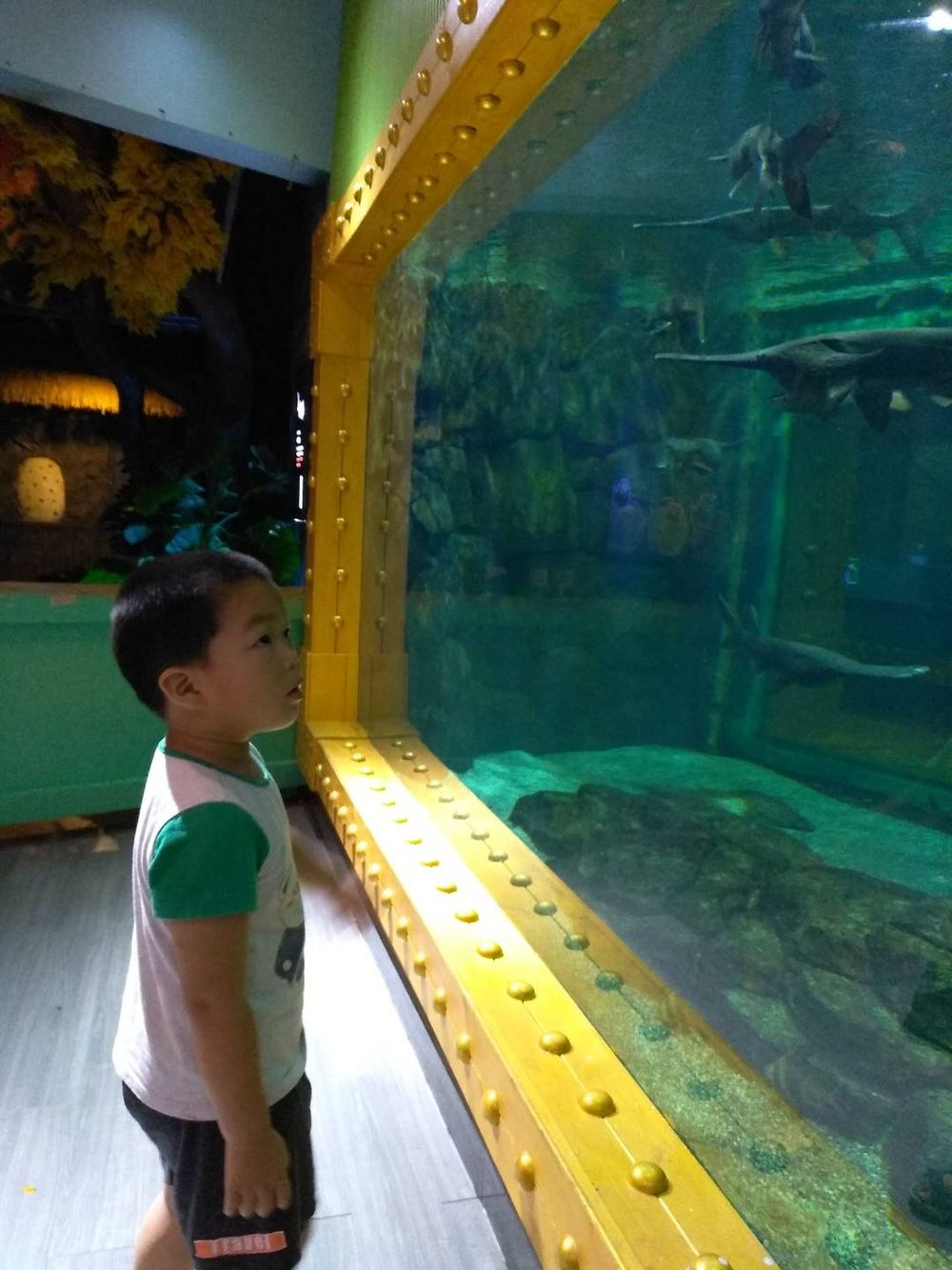 20200719奇奇游乐场